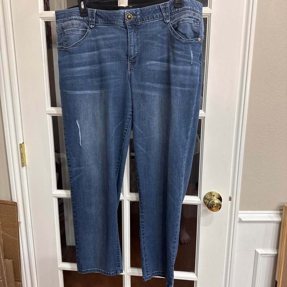 Democracy Ab-solution Blue Jeans 22W